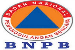 16 Orang Meninggal Akibat Banjir di Jabodetabek