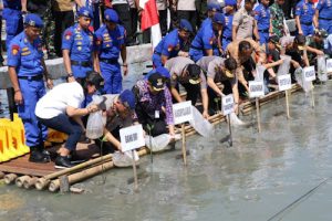 Menteri KKP, Panglima TNI,  Kapolri dan Bupati Tangerang, tanam 20 ribu Mangrove di Mauk