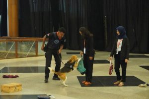 ‘Boy dan Zubu’ K-9 BNN RI Sukses Endus Narkoba