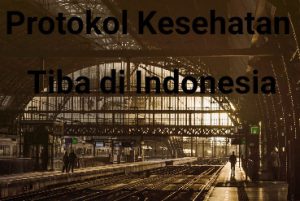 Begini Protokol Kesehatan WNI dan WNA Bila Tiba di Indonesia
