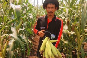 Pemkab Tangerang Proyeksi Ketersediaan Pangan Hingga Oktober
