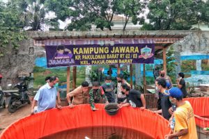 Kampung Jawara Pakulonan Barat Dapat Bantuan Kolam dan Benih Lele