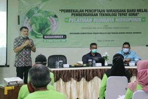 Kerjasama Kemenaker, YNDI: Hidroponik Solusi Ketahanan Pangan Keluarga