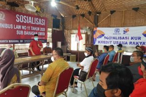 Bareng BRI, Ananta Wahana Sosialisasi UU Ciptaker