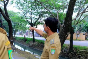 Antisipasi Tumbang Pemkot Tangerang Cek Pohon