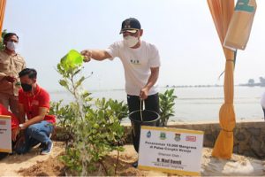 Wabup Tangerang Tanam Mangrove di Pulau Cangkir