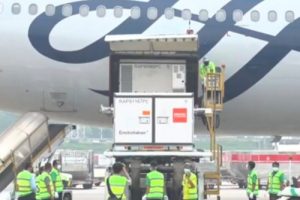 10 Juta Bulk Vaksin Sinovac Kembali Tiba di Tanah Air