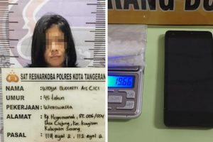 Simpan Sabu 19,66 Gram, Perempuan Ini Digelandang Ke Sel