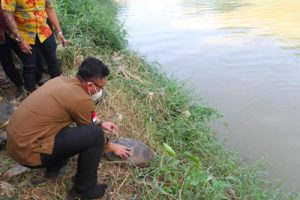 Wagub Banten Lepasliarkan Kura-kura ke Sungai Cisadane