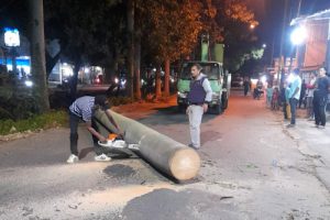 Pohon Bertumbangan di Kota Tangerang Diterpa Angin Kencang