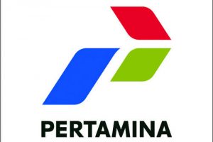 Soal Pernyataan Ahok, Ujang Komarudin: Hal-hal Konsumsi Internal, Tak Bagus Diumbar ke Luar