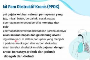 Penyebab Utama Penyakit Paru Obstruktif Kronis Adalah Merokok