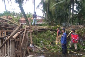 BPBD Kabupaten Tangerang Rapihkan Pohon Tumbang