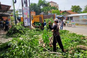Antisipasi Pohon Tumbang DLHK Kabupaten Tangerang Pangkas Pohon