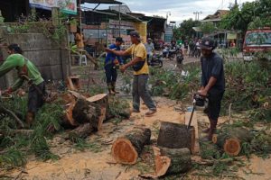 BPBD dan DLHK Bersihkan Pohon Tumbang di Kabupaten Tangerang