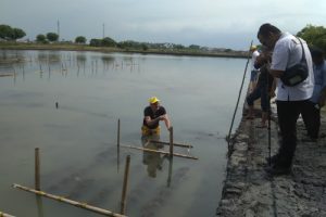 Buyer Italy Lihat Budidaya Rumput Laut di Kabupaten Tangerang Tangerang