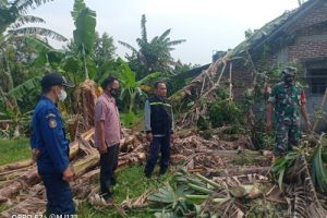 BPBD Kabupaten Tangerang Tinjau Rumah Dampak Angin Kencang