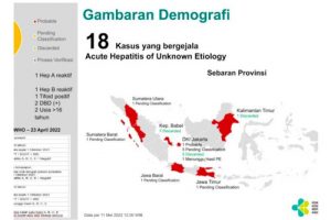 Kemenkes Temukan 18 Orang Diduga Hepatitis Akut
