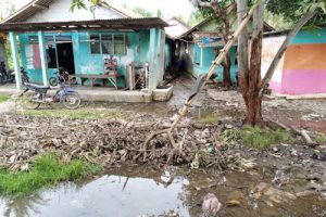 Banjir di Desa Tanjung Burung Surut