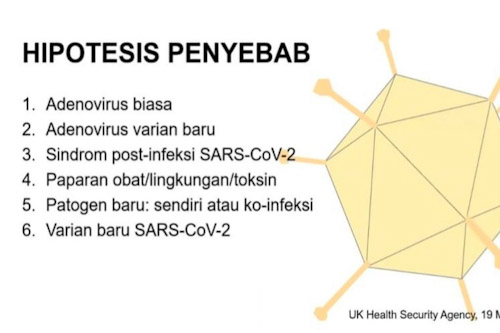 Enam Dugaan Penyebab Hepatitis Akut