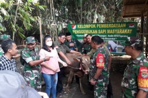 Danramil 14/Png Hadiri Peresmian Kelompok Pemberdayaan Penggemukan Sapi