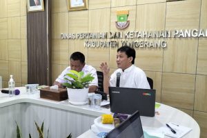 DPKP Akan Terapkan Sistem Pertanian Terpadu di 274 Desa dan Kelurahan