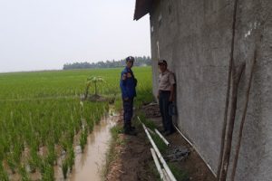 BPBD Kabupaten Tangerang Tutup Sumur Diduga Keluarkan Lumpur Gas dan Minyak di Desa Pekayon