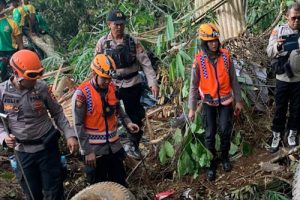 Tiga Hari Tertimbun Runtuhan Gempa, Balita Berhasil Diselamatkan