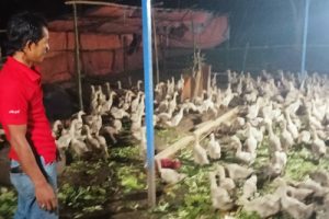 Berawal dari Iseng, Warga Desa Tapos Dapat ‘Cuan’ dalam Tempo 42 Hari