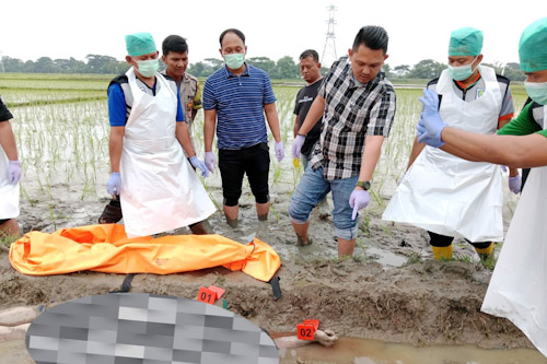 Ditemukan Mayat Luka Tusuk di Persawahan Teritih