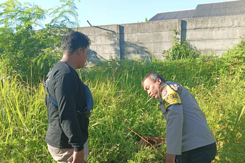 Bayi Merah Ditemukan Di Tengah Ilalang