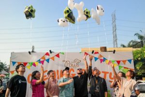 Summarecon Mall Serpong Hadirkan Paws Dog Dream Park