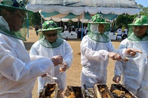 Abdimas BEM Vokasi UI Kembangkan UMKM Desa Wisata Kubang Baros