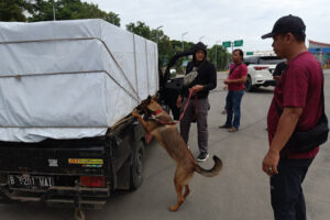 K9 Bantu Lacak Peredaran Narkoba di Pelabuhan Bakauheni