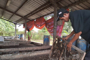 TPST Citra Raya Reduksi 700 Kg Sampah Perhari Gunakan Teknologi BSF