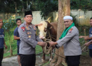 Polda Banten Sembelih 85 Hewan Qurban pada Idul Adha 1445 H