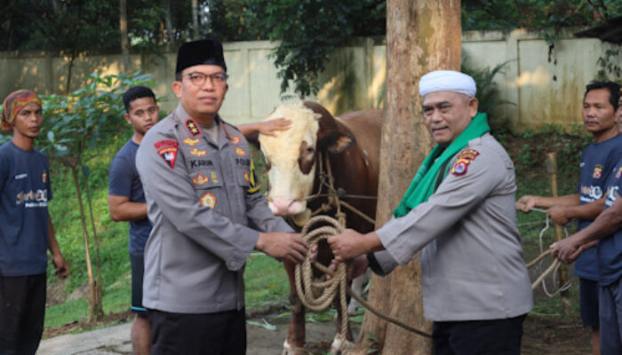 Polda Banten Sembelih 85 Hewan Qurban pada Idul Adha 1445 H
