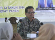 Pemkab Serang Dorong Kecamatan dan Desa Tanam Pangan Cepat Panen