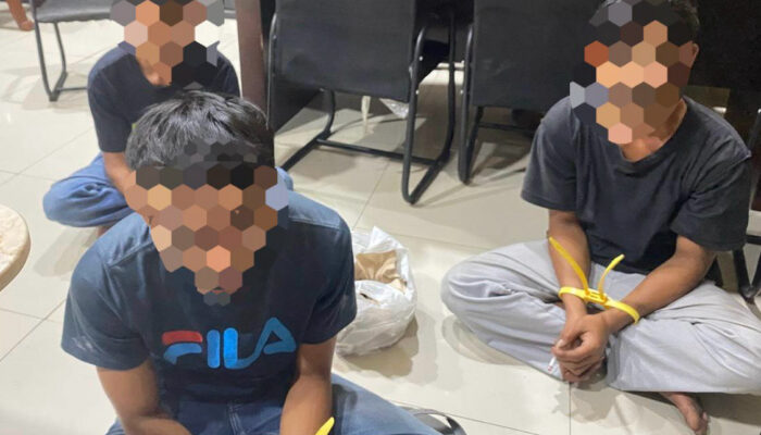 Update Kasus Pembakaran Peternakan Ayam, Lagi Tiga Pelaku Ditangkap