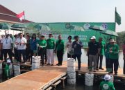 Dahsyat, 1,1 Juta Hektare Lahan Mangrove Di Indonesia Lenyap