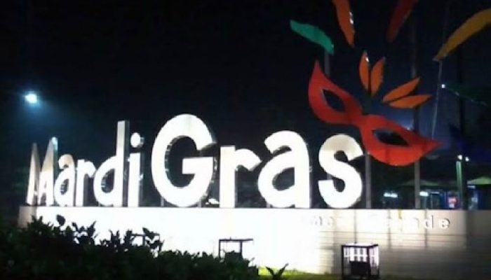 Mardi Gras Eco Art, Ketua JMSI Banten: Ide Kreatif Seniman Tangerang