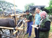 Jelang Iduladha, Pemkot Tangerang Imbau Warga Beli Hewan Kurban di Lapak Berstiker