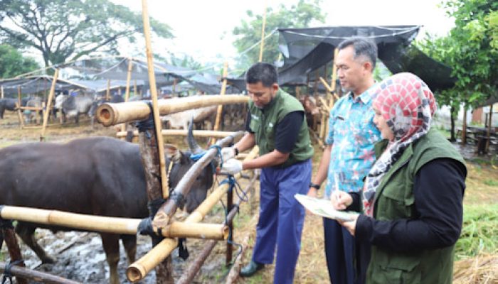 Jelang Iduladha, Pemkot Tangerang Imbau Warga Beli Hewan Kurban di Lapak Berstiker