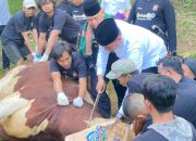 Polda Banten Sembelih 137 Hewan Qurban pada Idul Adha 1446 H