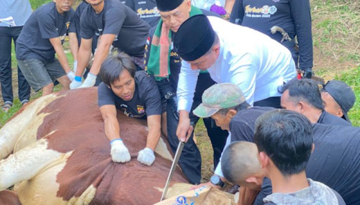 Polda Banten Sembelih 137 Hewan Qurban pada Idul Adha 1446 H