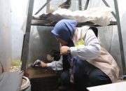Cegah DBD Sosialisasi Jumantik dan Baba Resik 10.10 Gencar