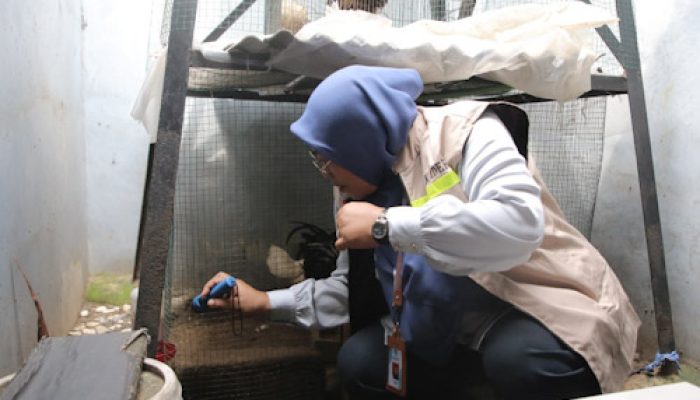 Cegah DBD Sosialisasi Jumantik dan Baba Resik 10.10 Gencar
