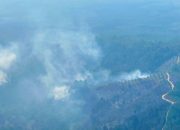 46 Orang Ditetapkan Tersangka Karhutla Riau