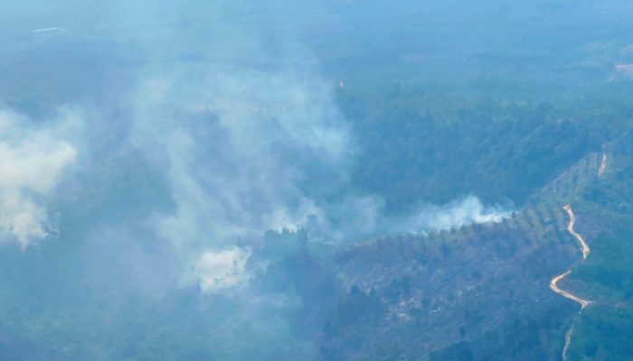 46 Orang Ditetapkan Tersangka Karhutla Riau