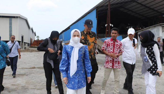 Mantan Karyawan Diduga Meninggal Dampak Limbah, Ratu Zakiyah Sidak PT GRS Jawilan